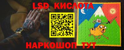 стаф Донецк