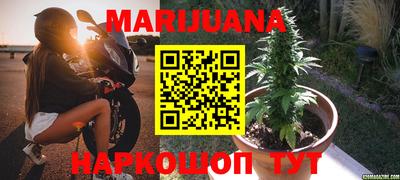 стаф Донецк