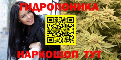 стаф Донецк