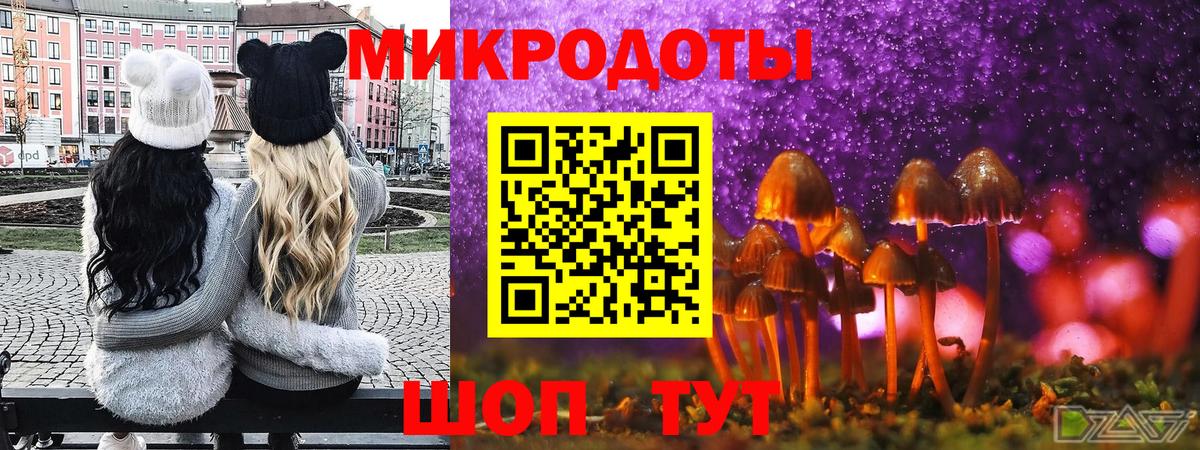 продажа наркотиков  Вход с VPN  Галлюциногенные грибы Magic Shrooms  Лесосибирск  Псилоцибиновые грибы Psilocybine cubensis 