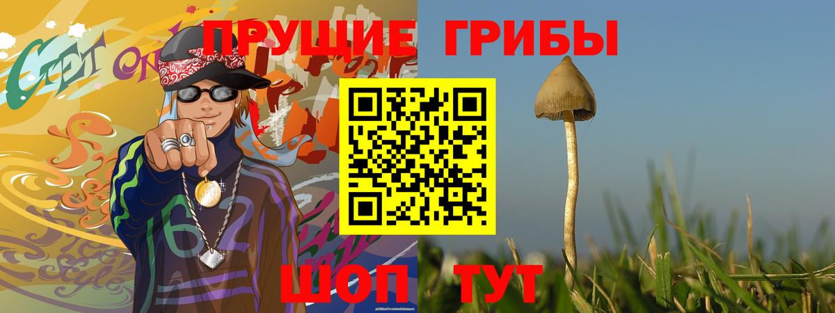 Галлюциногенные грибы MAGIC MUSHROOMS Лесосибирск